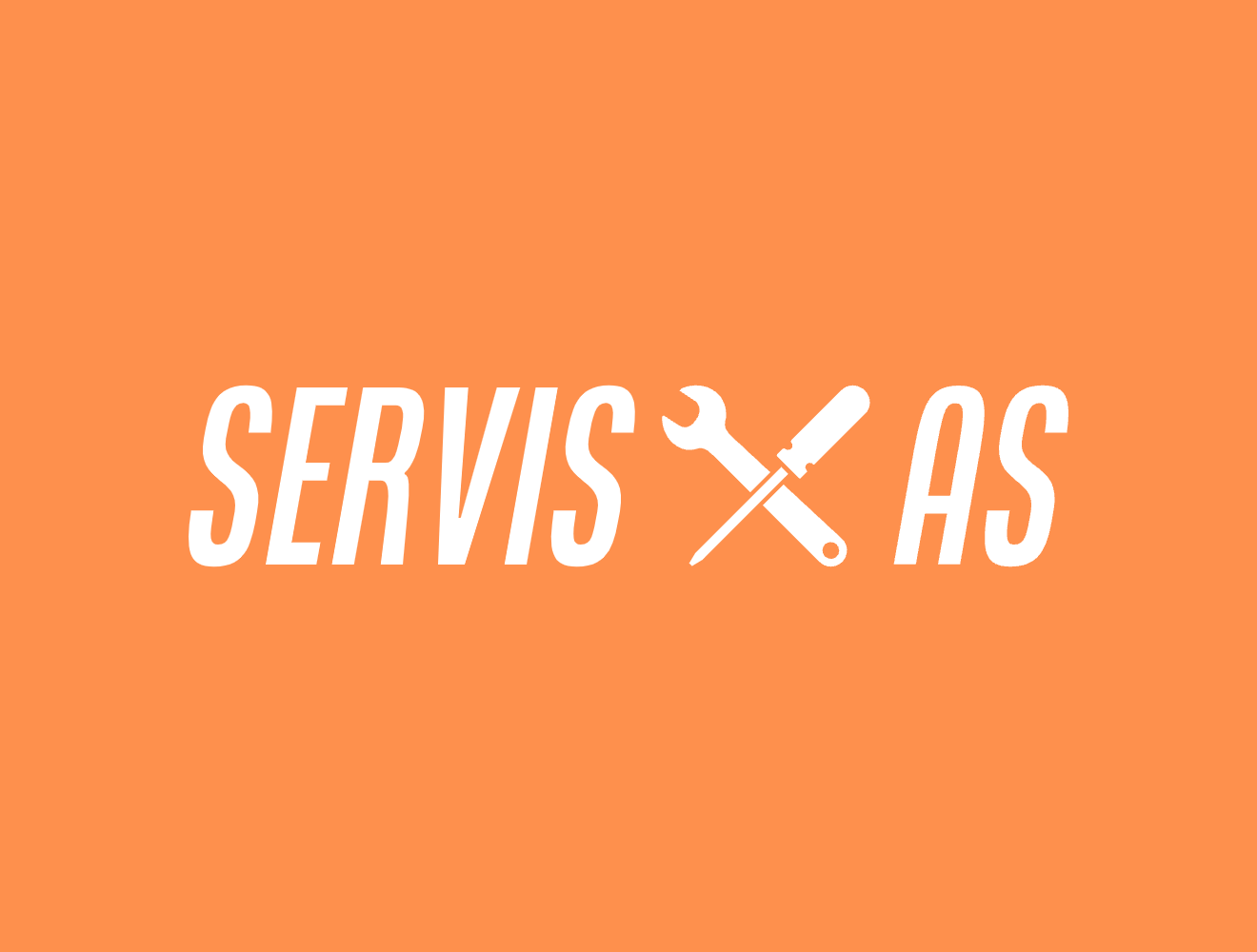 Logo Servis AS